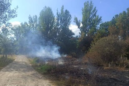 Al parecer este incendio pudo ser intencionado. ARAUJO