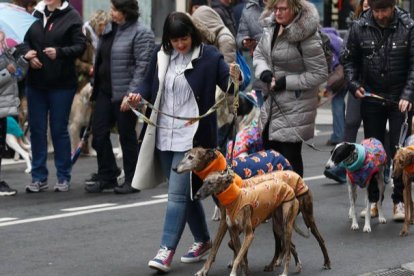 Imagen de archivo de la movilización en la capital leonesa para reclamar que los perros de caza estuvieran protegidos por la nueva ley. FERNANDO OTERO