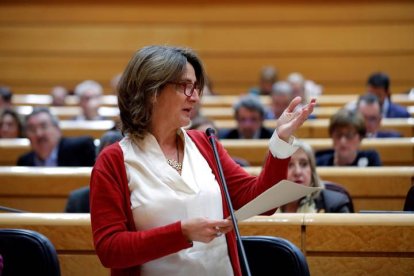 La vicepresidenta cuarta del Gobierno y ministra de Transición Ecológica, Teresa Ribera, el martes en la sesión de control al Gobierno. EMILIO NARANJO