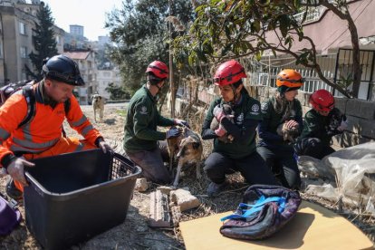 Miembros de Humane Society International rescatan de los escombros un perro con cinco cachorros. ERDEM SAHIN