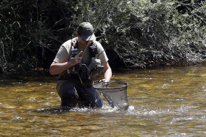 Un pescador en uno de los ríos de la provincia leonesa. MARCIANO PÉREZ