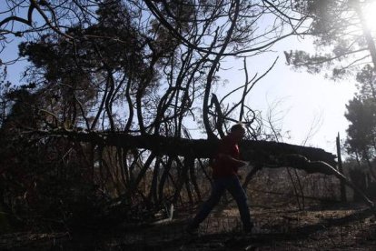 Un vecino pasea por la zona afectada por el incendio, en una imagen de archivo.