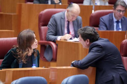 Ana Carlota Amigo, portavoz de Ciudadanos, departe con el consejero de Empleo, Carlos Fernández Carriedo.