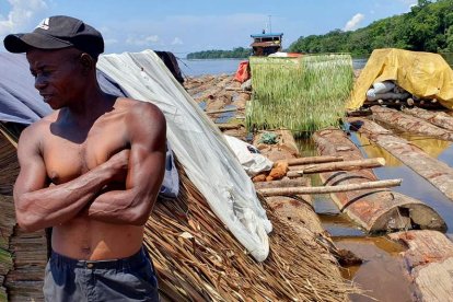 Un trabajador de la madera en la tarea de bajar troncos río Congo abajo hacia Kinshasa. MANUEL FÉLIX