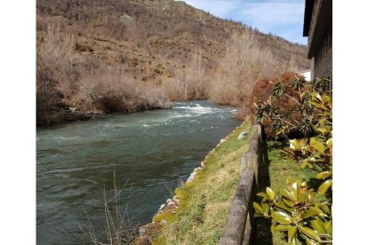 El río Esla, ayer a la altura de Valdoré, bajaba con fuerza. CAMPOS