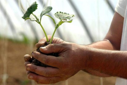 Grupo de agricultores de vida sana y consumo responsable de Villamer. p.g.