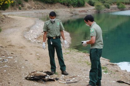 Dos agentes proceden a retirar un buitre encontrado muerto. DL