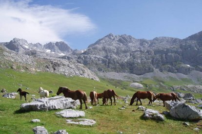 Picos de Europa es el único parque nacional que tiene la provincia. RUBÉN GONZÁLEZ