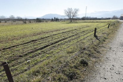 Terrenos en los que Camponaraya y Ponferrada han puesto el ojo para albergar el parque. L. DE LA MATA