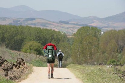 Un peregrino carga su mochila durante el Camino de Santiago