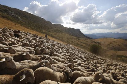 Imagen de trashumancia en las montañas de León. JESÚS F. SALVADORES