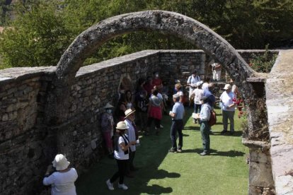 Restos del monasterio de San Martín de Alión (S. IX). CAMPOS