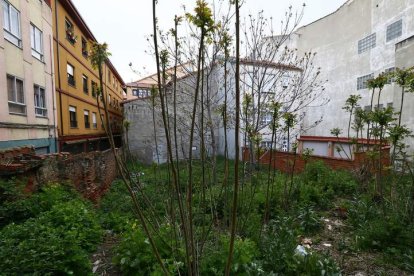 El solar suma 170 metros cuadrados de terreno en pleno casco histórico de la ciudad.