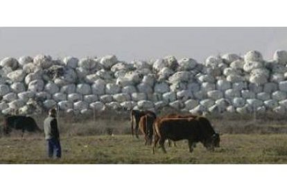 Miles de toneladas de basura apiladas en fardos se acumulan en Santa María del Páramo desde abril de