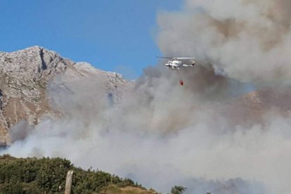 El incendio de Villalfeide, en Matallana, se produjo por una negligencia en labores apícolas. DL