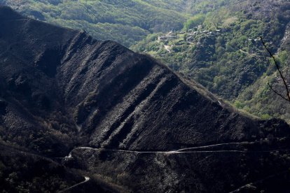 Ladera de la Tebaida, a los pocos días del incendio de abril de 2017 que quemó 1.300 hectáreas. AFB