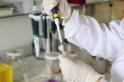Investigadora en el campus de León.