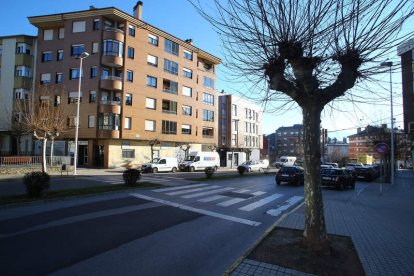 El atropello tuvo lugar en el paso de peatones del número 6 de la avenida del Castillo. L. DE LA MATA