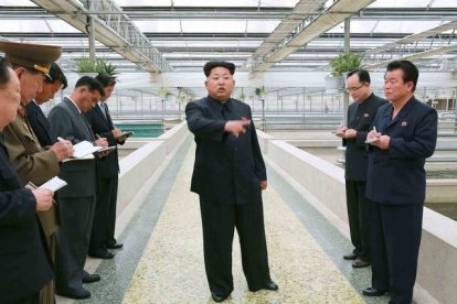 Kim Jong-un muestra su enfado durante la visita a un criadeo de tortugas.