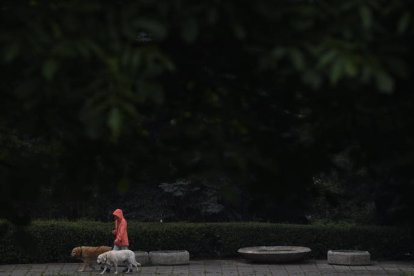 Una mujer pasea con sus perros. VASSIL DONEV