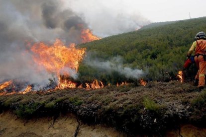 Un bombero realiza un cortafuegos en las inmediaciones de la reserva de la biosfera de Muniellos (Asturias), considerado como el robledal mejor conservado de Espana, el pasado lunes.