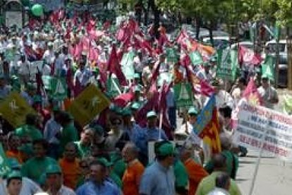 Decenas de banderas de León pudieron verse ayer en la manifestación convocada por Asaja en Madrid