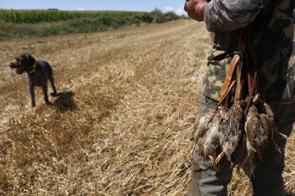 La media veda en Castilla y León llega a su fín el próximo domingo 19 de septiembre. FERNANDO OTERO