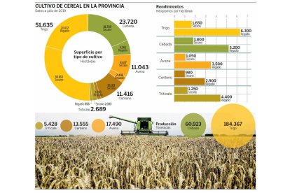 Cultivo de cereal en la provincia - julio 2019