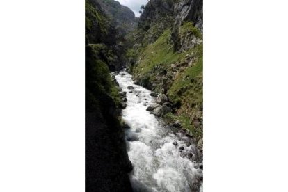 El río Cares, en Picos de Europa