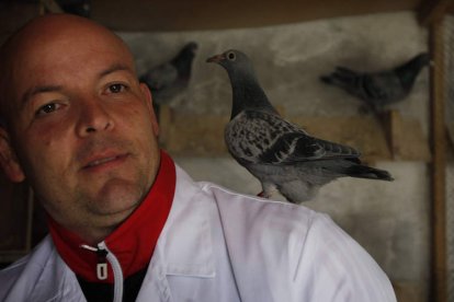 El colombófilo leonés Eduardo Barrallo Fernández posa con una de las 55 palomas que alberga en Santa Marina del Rey junto a su hermano Guillermo.