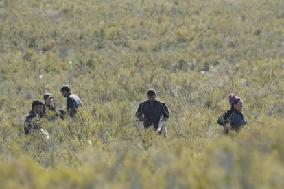 Imagen de una de las plantaciones de frutales ya realizadas por la FOP en el Alto Sil. L. DE LA MATA