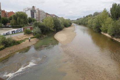 Vista del río, que casi se puede cruzar andando, desde el puente de Los Leones. RAMIRO.