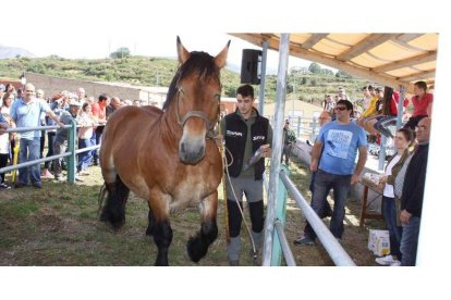 El concurso de ganados es una de las actividades clave en la zona de Lillo. CAMPOS