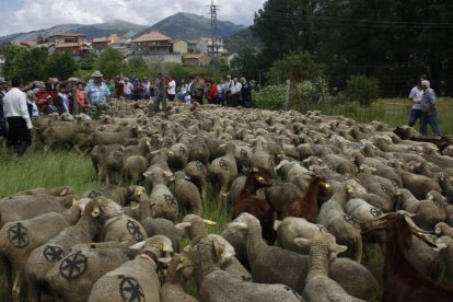 El concurso de siega volvió a mostrar mucho interés. CAMPOS