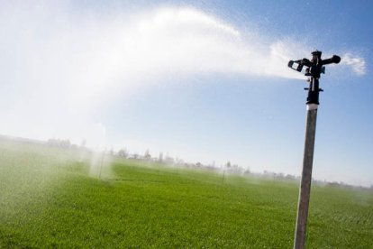 Un regadío modernizado en un campo de la provincia de León. FERNADO OTERO PERANDONES