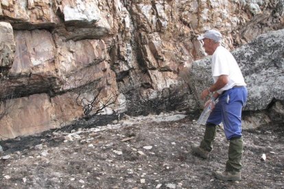 La peña ofrece abrigo a las pinturas rupestres, aunque hasta ayer no se comprobó que no habían resultado dañadas.