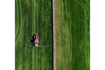 Vista cenital de un tractor que fumiga el cultivo de cereal. efe