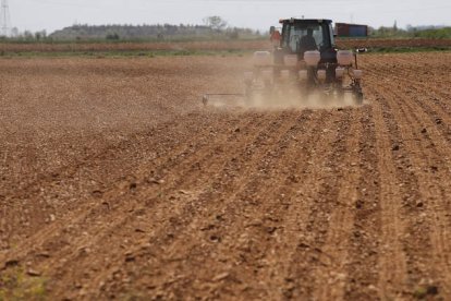 El valor medio de las precipitaciones ha sido un 27,5% inferior que la media de los últimos años. JESÚS F. SALVADORES