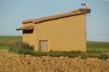 Palomar en Santas Martas. ASOCIACIÓN DE AMIGOS DE LOS PALOMARES
