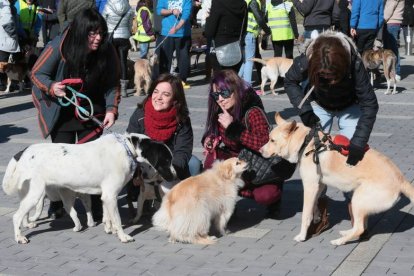 Un grupo de chicas con sus perros en una marcha por la defensa de los derechos de los animales celebrada en León