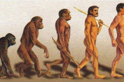 Diferentes fases evolutivas que culminan en el Homo sapiens.