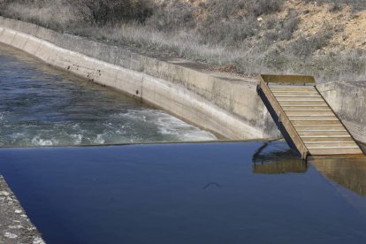 Rampa colocada en el canal de Arriola. MARCIANO PÉREZ