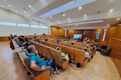 Una reunión en el Ayuntamiento de San Andrés. DL