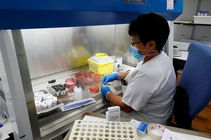 Tratamiento de pruebas covid en el laboratorio de Microbiología del Caule. MARCIANO PÉREZ