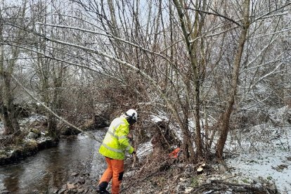 Un operario trabaja junto al cauce de un río. DL