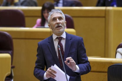 El ministro de Interior, Fernando Grande Marlaska, en el Senado. KIKO HUESCA