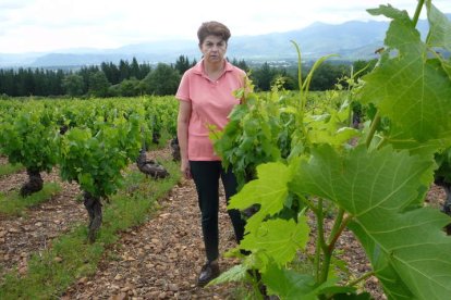 Elva García Amigo, en una de sus parcelas de Los Fornos, uno de los parajes más singulares y envidiables del viñedo berciano. B. FERNÁNDEZ