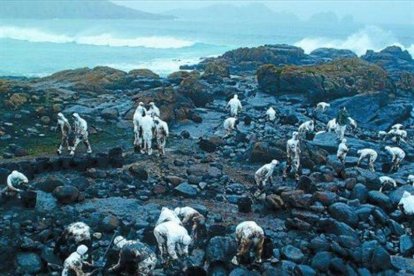 La batalla 8 Tareas de limpieza del chapapote en la playa de Reira, en Camariñas (A Coruña), en el 2002.