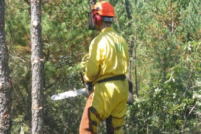 Un joven realiza tareas de limpieza en un bosque de la provincia de León. ARCHIVO