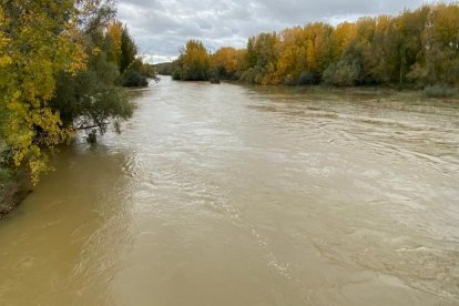 En algunos puntos el caudal sobrepasa los 266 metros cúbicos por segundo con un nivel que supera los 1,60 metros. RAMIRO